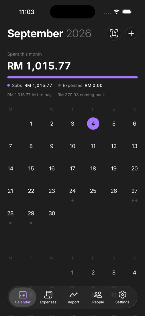 Bayarwoi mobile calendar with monthly spending summary